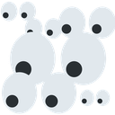 multieyes